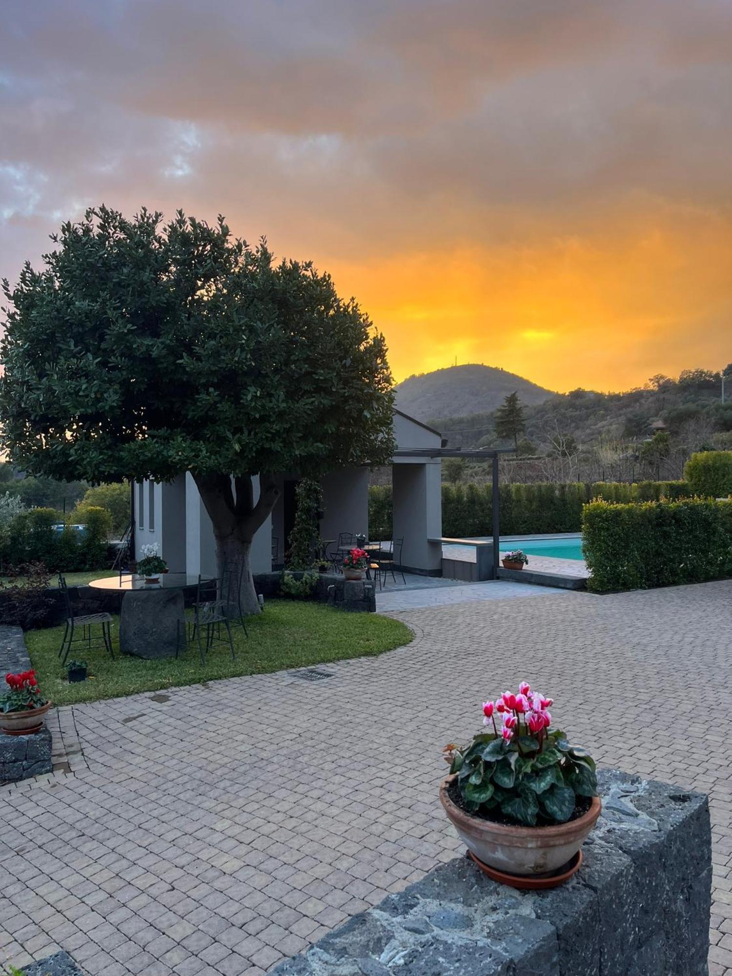 La Casa Dell'Alloro Zafferana Etnea Exteriér fotografie