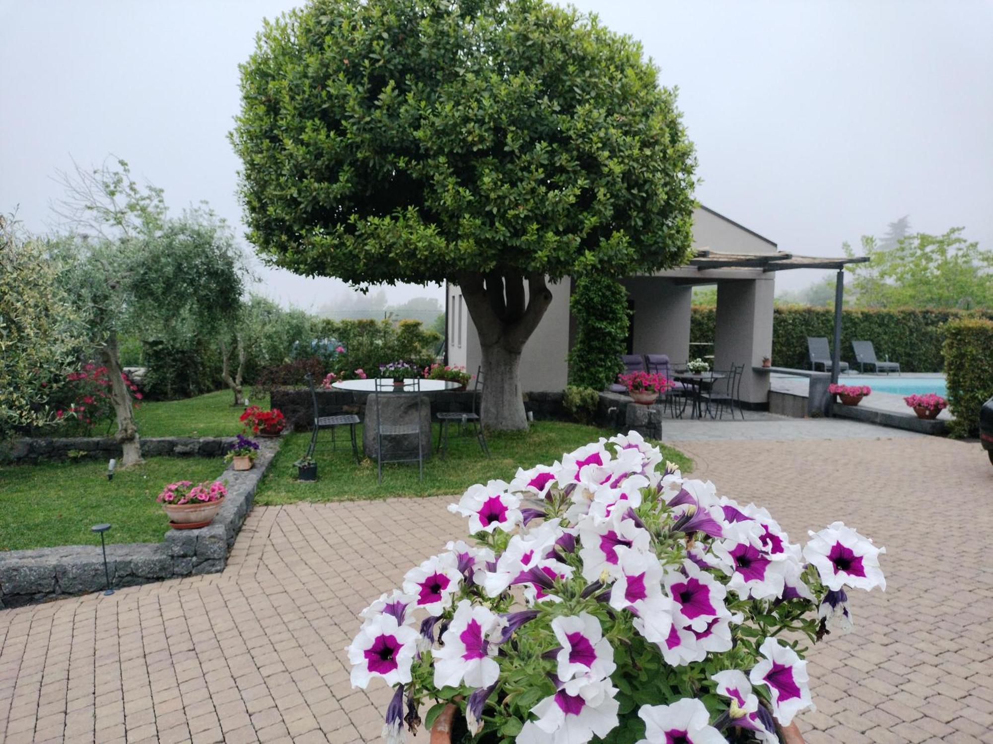 La Casa Dell'Alloro Zafferana Etnea Exteriér fotografie